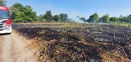 Carbonizzate 1.300 piante al parco del Serio, l'ombra dell'incendio doloso