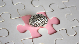 Sperimentazione per frenare l’Alzheimer