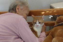 Pet therapy: «Rivedere il  mio gatto mi riempie il cuore»