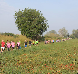 Camminando un PO - Camminata solidale 2a edizione