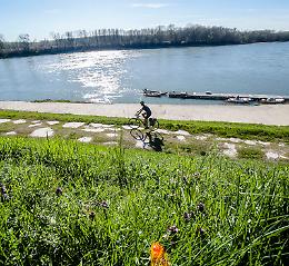 In bicicletta tra Po, pievi e cascine