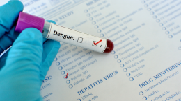 Dengue, un altro caso nel Cremasco