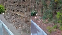 Pista ciclabile come una giungla sul ponte dell'Adda