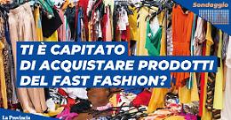 Ti è capitato di acquistare prodotti del fast fashion?