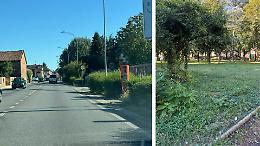 La richiesta: «Il verde merita attenzione» 