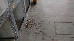 Piccioni padroni al cimitero, nodo decoro