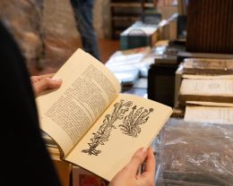 Scripta - Mostra mercato del libro di pregio, della grafica e della stampa 