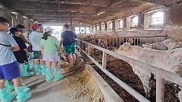 ‘Non solo vacche’, allo Stanga l'agricoltura stupisce