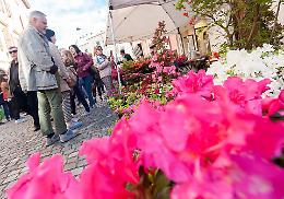 Torna la città giardino tra colori e profumi