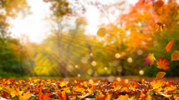 Arrivederci estate, è l’equinozio d’autunno