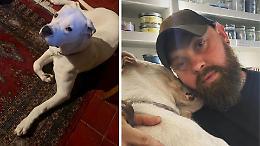 Il dogo argentino di Marco Ponghellini rischia il canile e cerca famiglia