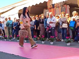 Crema Beauty Days: sfilata al mercato di via Verdi
