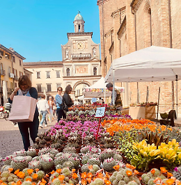 Crema Fiori e Sapori - Edizione Autunnale 2024