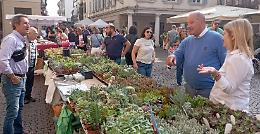 Fiori e sapori, esplosione di colori e profumi d'autunno