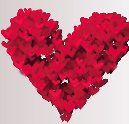 La giornata del Cuore 2024 a Crema