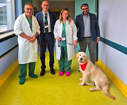 'Dog for smile',  Prince in corsia