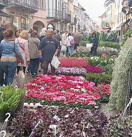 ‘Fiori e sapori’, il sole bacia il centro e i suoi colori