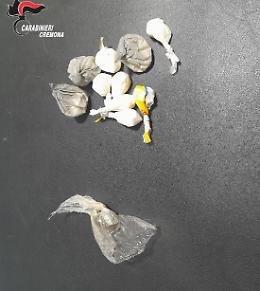 Sequestro di droga: denunciato 30enne per spaccio