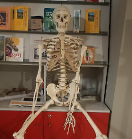 Caccia ai mostri in museo!