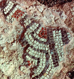 Anniversario della scoperta degli scavi archeologici