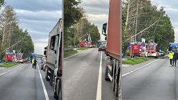 Albero caduto in via Mantova, traffico in tilt
