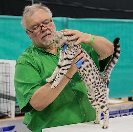 Al Petsfestival l'amore per gli animali