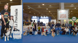 In vacanza con il mio pet: premiate le foto vincitrici