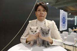 Petsfestival: visitatori e operatori soddisfatti