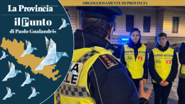 Teppista, ora prova a indossare una divisa