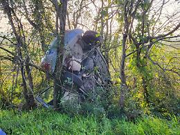 Perde il controllo dell'auto  che si incastra contro un albero: ferita coppia