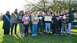 Festa dell'Albero, a scuola undici nuove piante