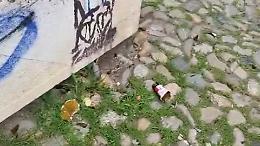 Cocci di bottiglia e sporcizia davanti alla scuola dei bambini