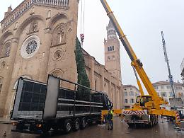 Arriva l'albero di Natale in piazza Duomo