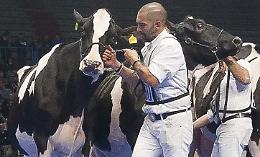«Io sto con Cremona»