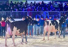 Fiere Zootecniche Internazionali, la seconda giornata