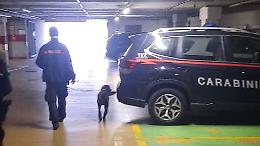 Operazione anti droga, carabinieri e cinofili al setaccio del territorio