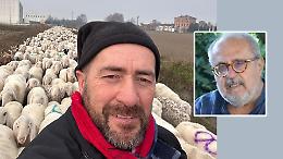 Le storie di Gigio: il Natale del pastore cremonese