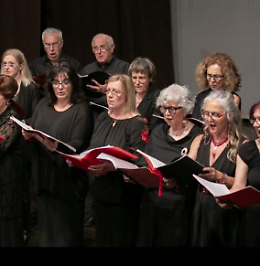 "In dulci jubilo" concerto delle festività natalizie