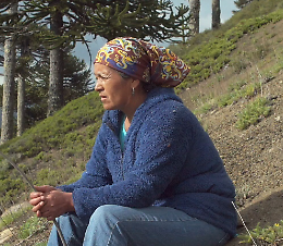 Proiezione del docu-film: "Life with the Pewen" di Juan Carlos Gedda