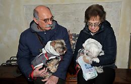 Benedizione degli animali, riti per i compagni domestici e nelle stalle