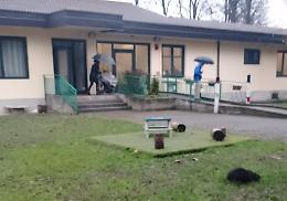 Nutrie in giardino: l’allarme