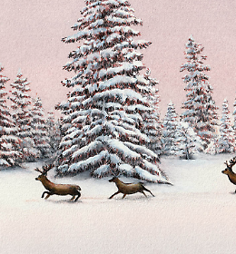 Mostra: "L'Inverno magico" di Elena Ceccato