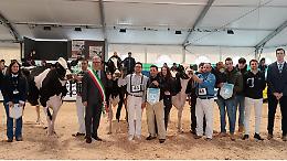Mostra zootecnica Anafi: Rota Lambda Betty-Et campionessa assoluta vacche