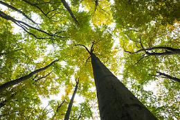 "M’illumino di meno" Camminata ecologica