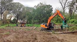 Aree verdi e golene: habitat da ricostruire
