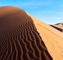 Incontro "Namibia, natura selvaggia"