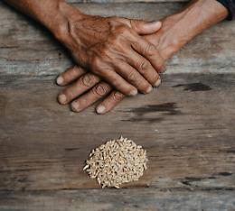 Proiezione di "Biopatriarchi", documentario di Lorenzo Scaraggi
