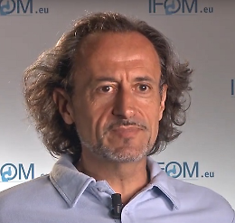Conferenza: Quando la biologia incontra la fisica in oncologia