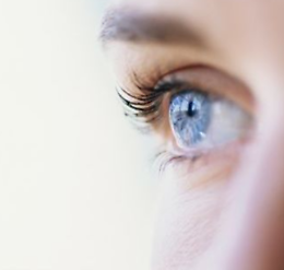 La maculopatia: patologia in aumento e di difficile trattamento terapeutico