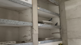 Al cimitero i piccioni anche nei loculi vuoti